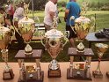 SAM_3631 SAM_3631